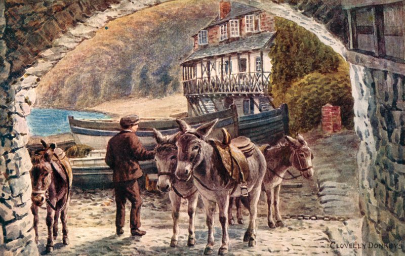 cıvıl cıvıl eşekler by Alfred Robert Quinton