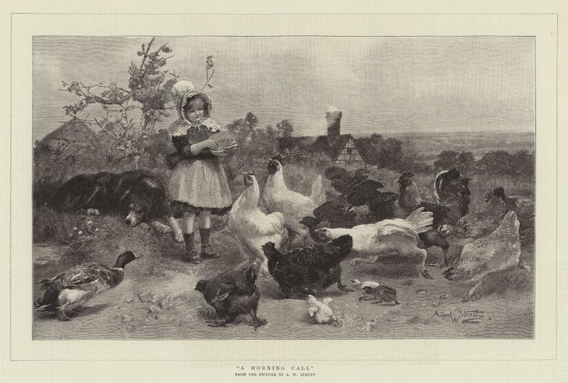 ಎ ಮಾರ್ನಿಂಗ್ ಕಾಲ್ ಟರ್ಕ್ by William Strutt