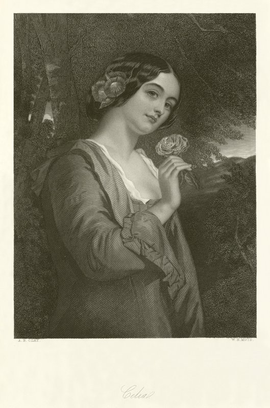 Celia by Alfred Barron Clay