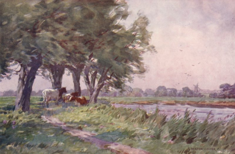Stour