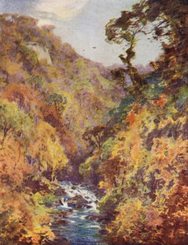 Dargle, County Wicklow by Alfred Heaton Cooper