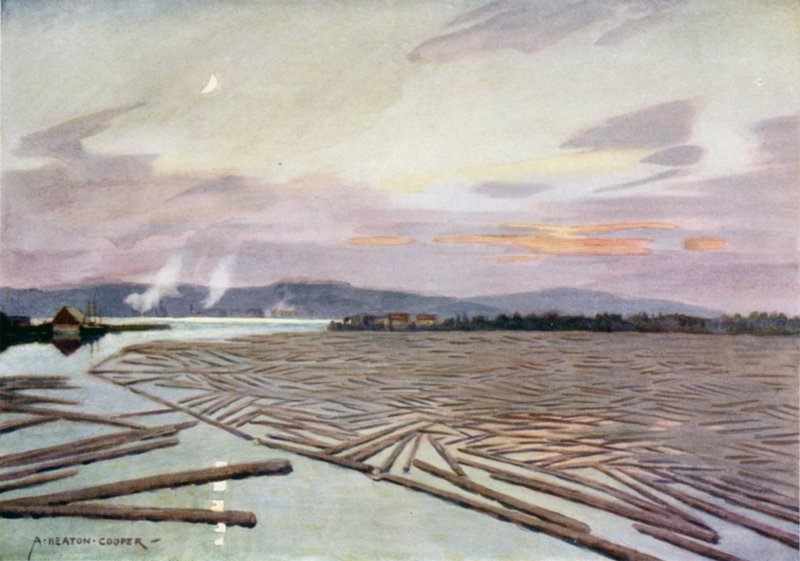 Timber on the River Angerman, Harnosand  by Alfred Heaton Cooper