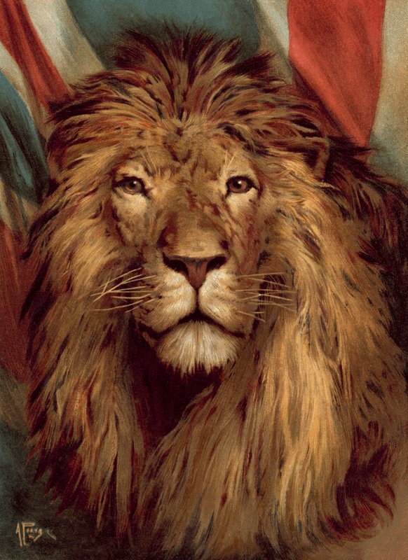 İngiliz Aslan Uyanık (chromolitho) by Alfred Pearse