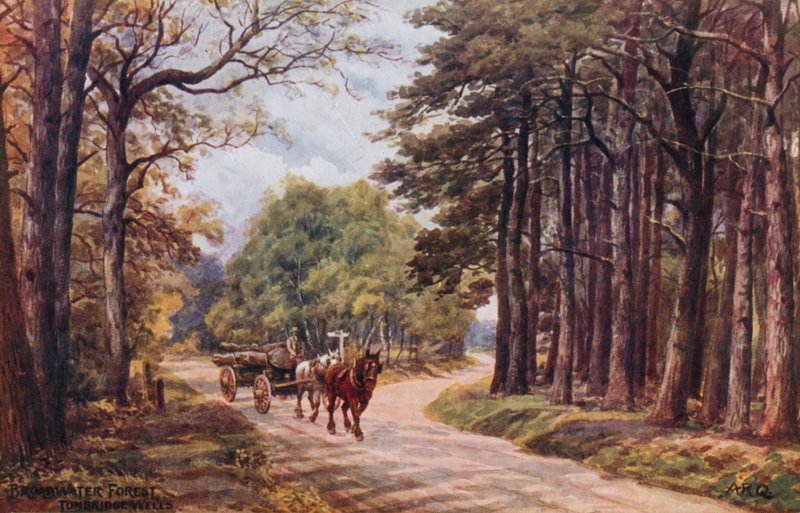 Broadwater Ormanı, Tunbridge Wells by Alfred Robert Quinton