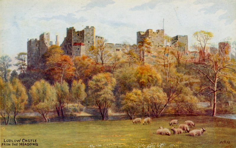 Meadows