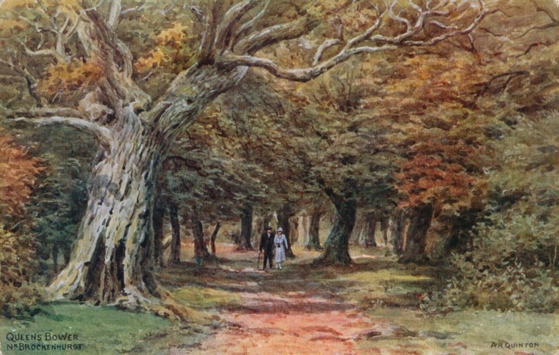 Brockenhurst yakınlarındaki Kraliçe