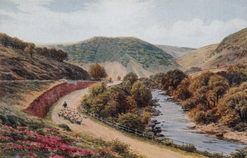 Wye üzerinde Rhayader by Alfred Robert Quinton