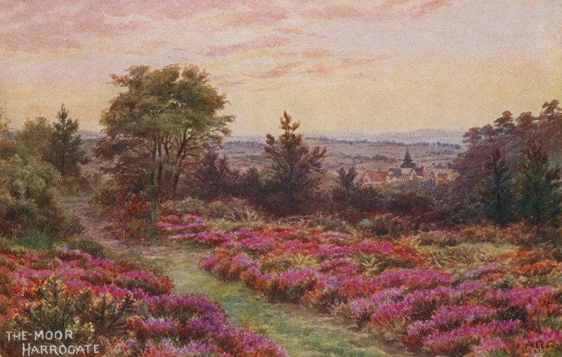 Framhlið mánaðarlegra hámarka i by Alfred Robert Quinton