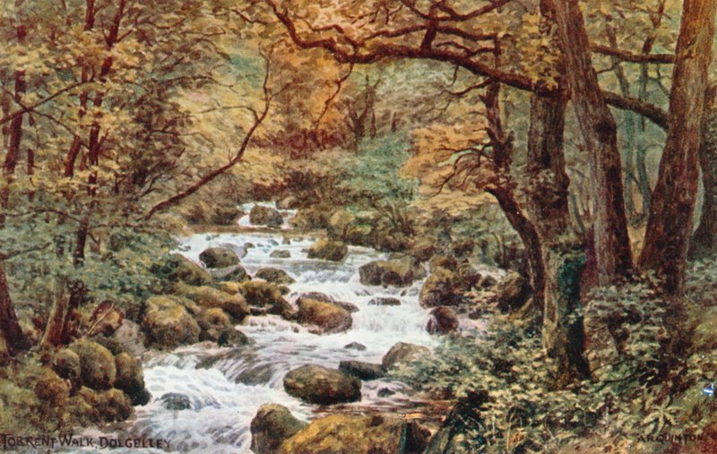 Torrent Yürüyüşü, Dolgelley by Alfred Robert Quinton