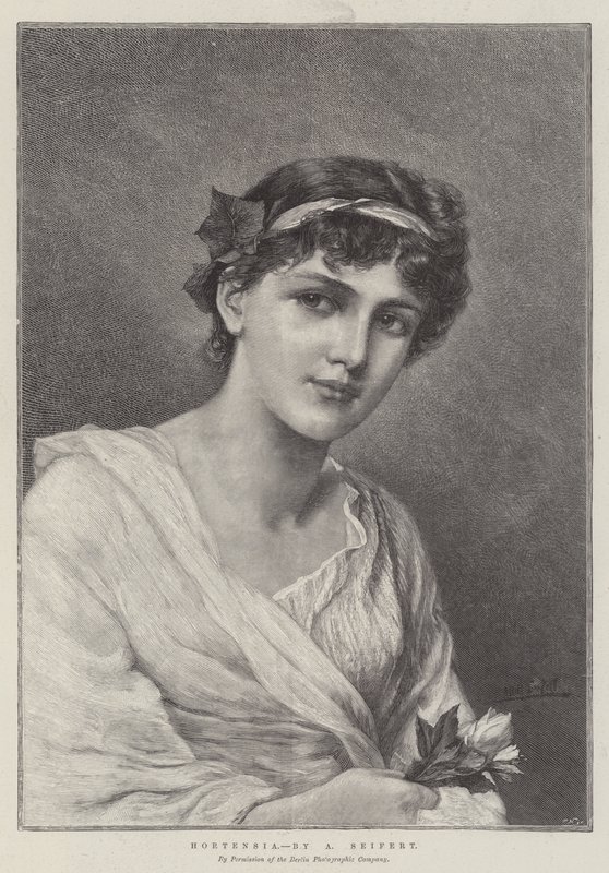 ortanca by Alfred Seifert