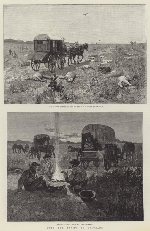 Ovalardan Colorado