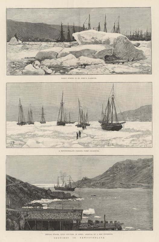 Newfoundland