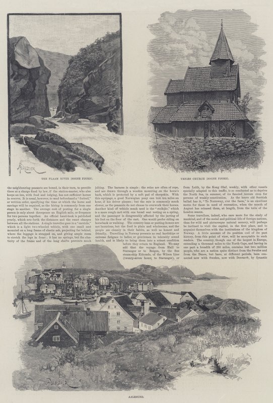 Norveç