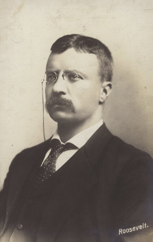 Roosevelt by American Photographer