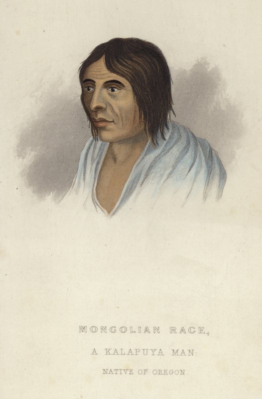 Bir Kalapuya adamı (renkli gravür) by American School