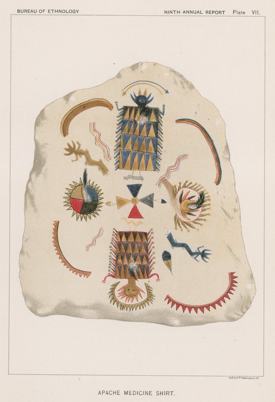 Apache Tıp Gömleği by American School