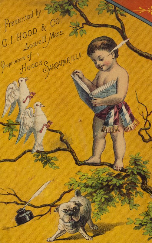 Kerub Ağaçta Kitap Okumak by American School