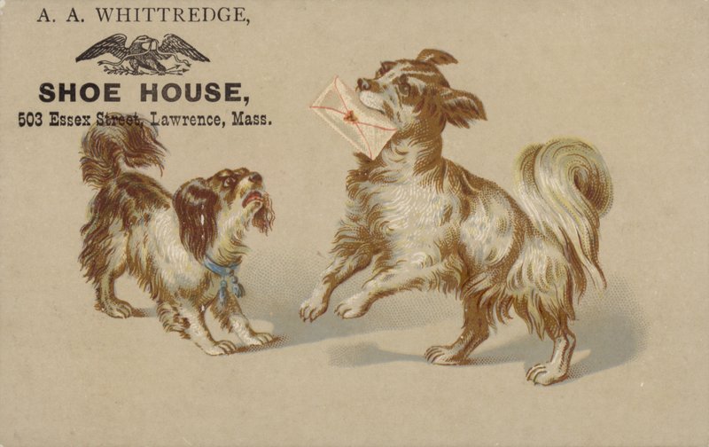 Mektup ağzına tutan köpek by American School