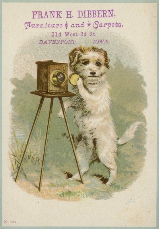 Bir kamera ile köpek by American School