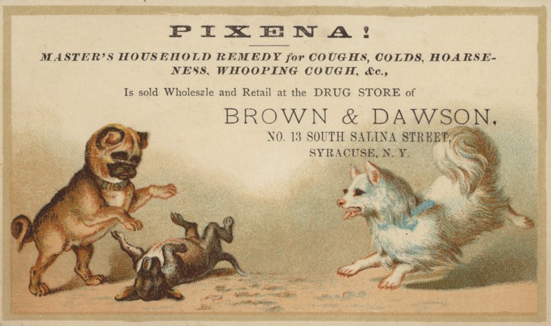 Birlikte Oynayan Köpekler by American School