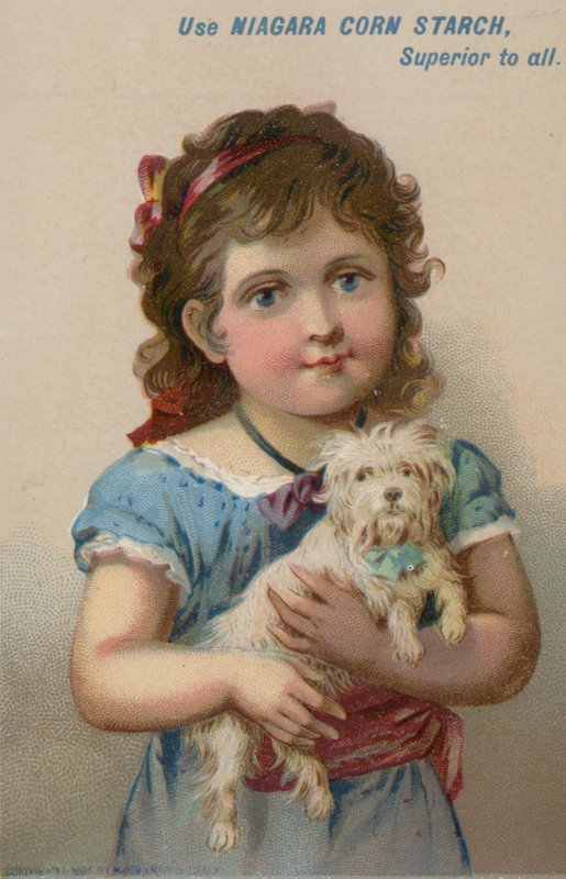 Küçük köpeği kucağında tutan kız by American School