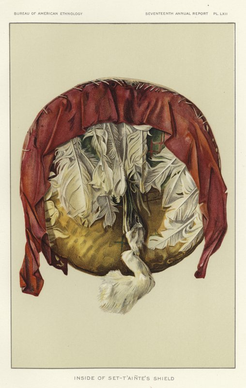 Set-Taintes Shield
