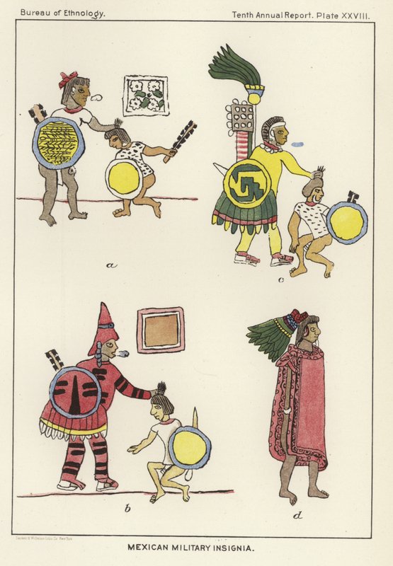 Meksika askeri amblemi by American School