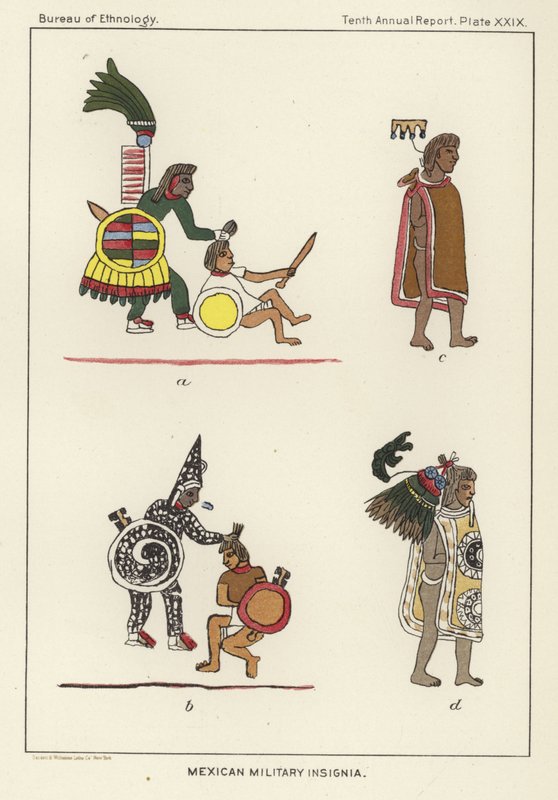 Meksika askeri amblemi by American School