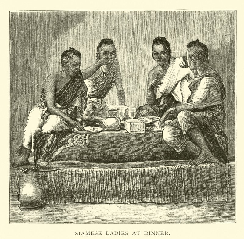 Akşam yemeğinde Siyam bayanlar by American School