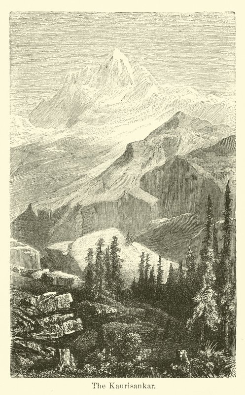 Kaurisankar by American School