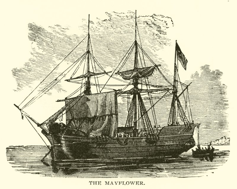 Mayıs Çiçeği by American School