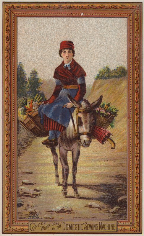 eşeğe binen kadın by American School