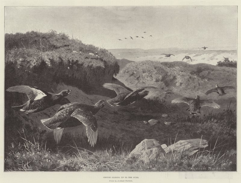 Silahlara doğru süzülen orman tavuğu by Archibald Thorburn