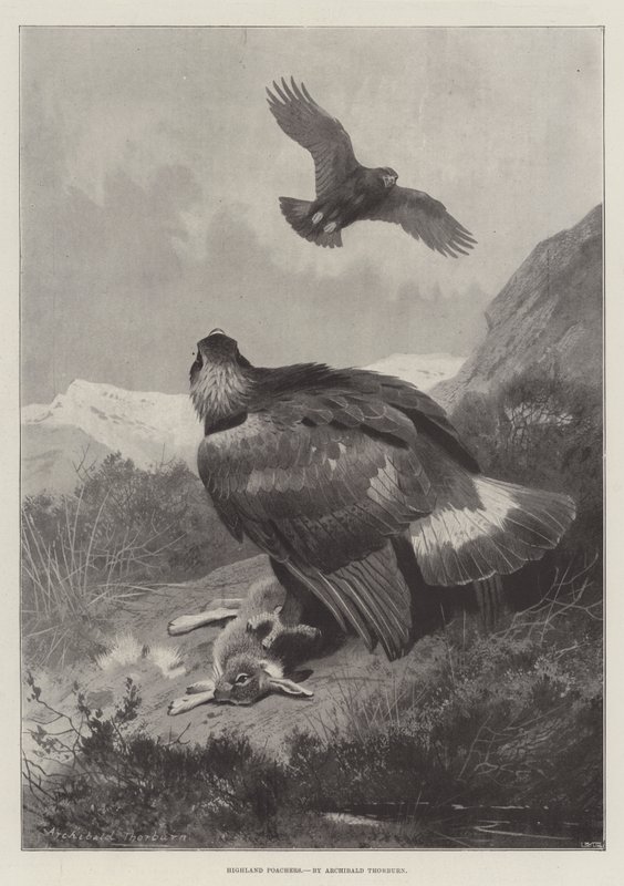 Yayla Avcıları by Archibald Thorburn