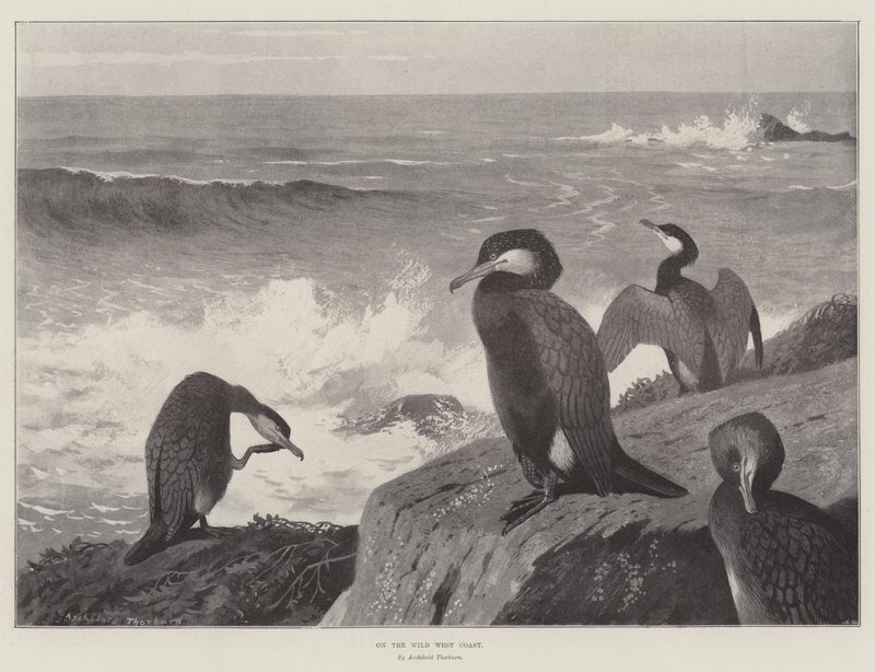 Vahşi Batı Kıyısında by Archibald Thorburn