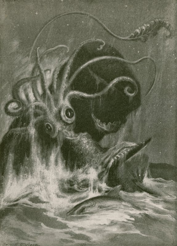 Kraken, Sperm Balinasına Karşı by Arthur Twidle