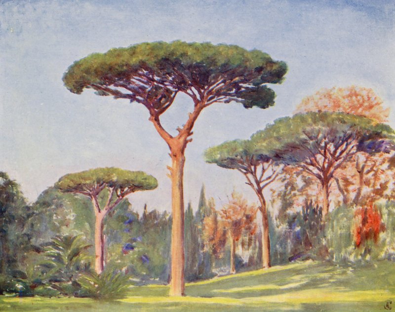  by Augustine Fitzgerald