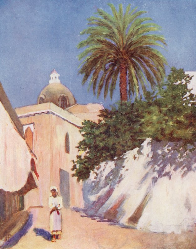 Sokak, Capri (renkli taşbaskı) by Augustine Fitzgerald