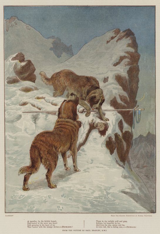Sadık Tazı tarafından bir Gezgin (chromolitho) by Basil Bradley
