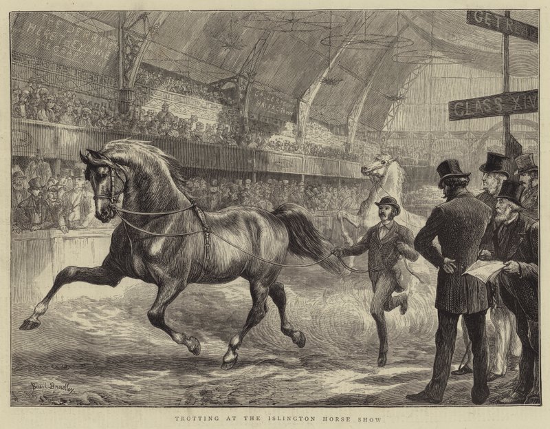 ಇಸ್ಲಿಂಗ್ಟನ್ ಹಾರ್ಸ್ ಶೋ ಟರ್ಕ್‌ನಲ್ಲಿ ಟ್ರಾಟಿಂಗ್ by Basil Bradley