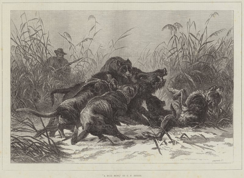 ಒಂದು ಹಂದಿ ಬೇಟೆ ಟರ್ಕಿ by Carl Friedrich Deiker