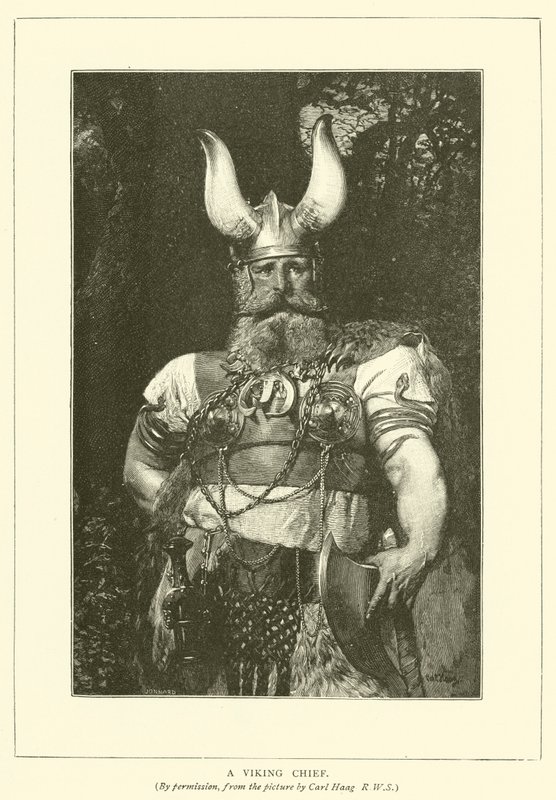 Bir Viking Şefi by Carl after Haag