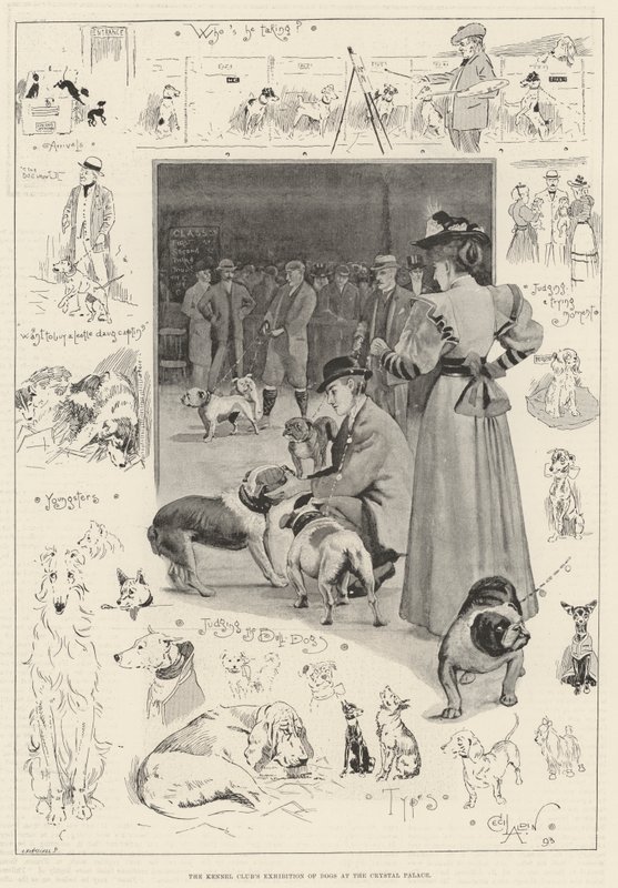 Kennel Kulübü