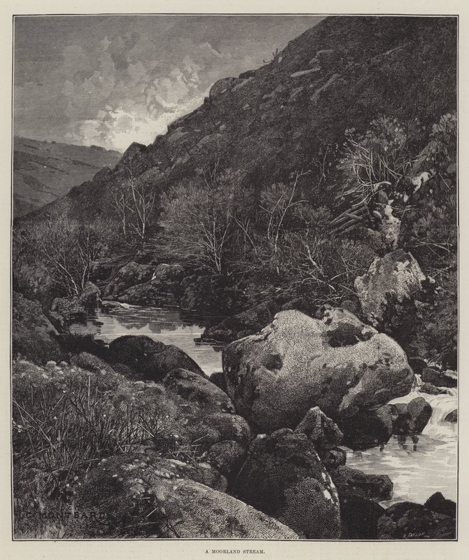 Bir Moorland Çayı by Charles Auguste Loye