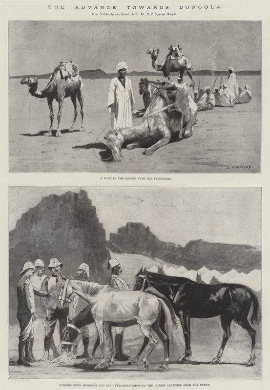 Dongola