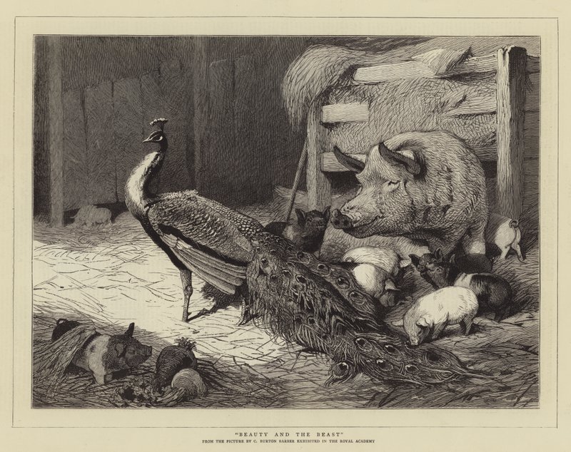 Güzel ve Çirkin by Charles Burton