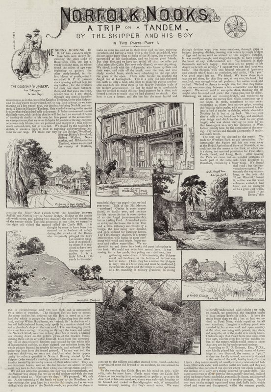 ನಾರ್ಫೋಕ್ ನೂಕ್ಸ್ ಟರ್ಕ್ by Charles J. Staniland