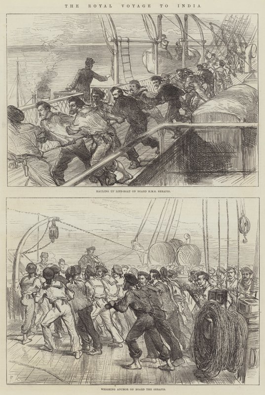 Hindistan Kraliyet Yolculuğu by Sir John Charles Robinson