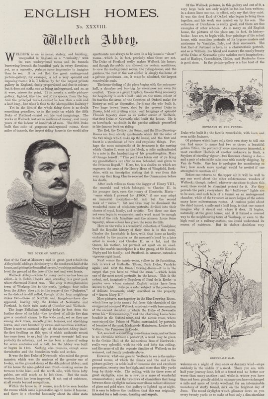 ಇಂಗ್ಲಿಷ್ ಹೋಮ್ಸ್, ವೆಲ್ಬೆಕ್ ಅಬ್ಬೆ ಟರ್ಕ್ by Charles Auguste Loye
