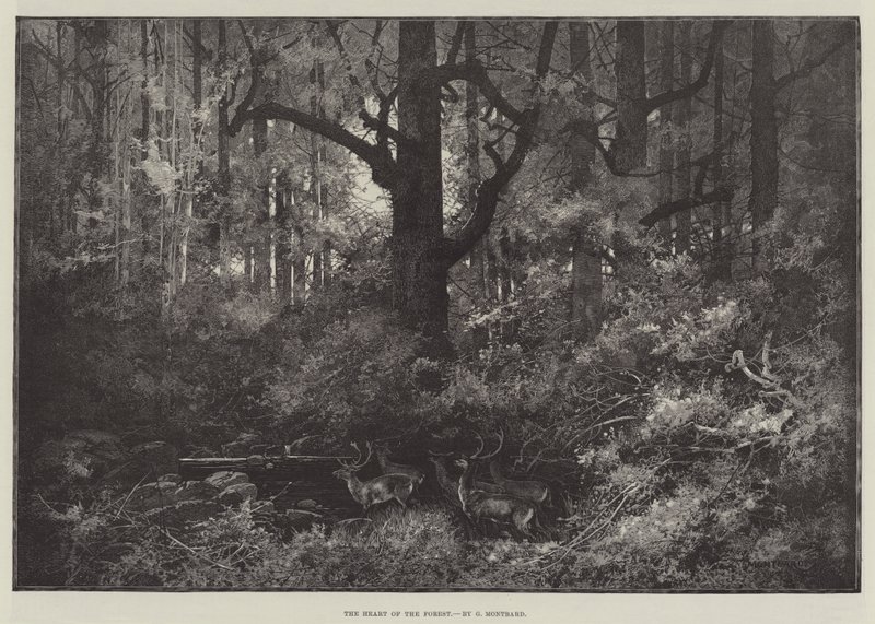 Ormanın Kalbi by Charles Auguste Loye